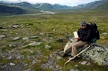 Kungsleden Abisko-Kebne (56)
